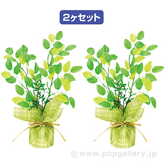 若葉ペアラッピング