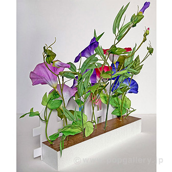 朝顔垣根アレンジ