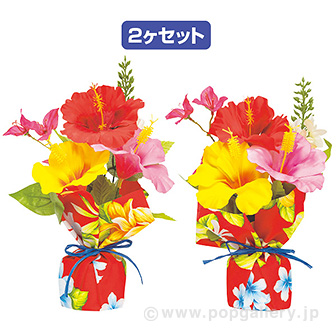 トロピカルペアラッピング