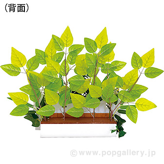 若葉垣根アレンジ