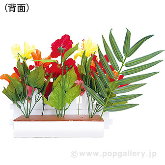 ハイビスカス垣根アレンジ