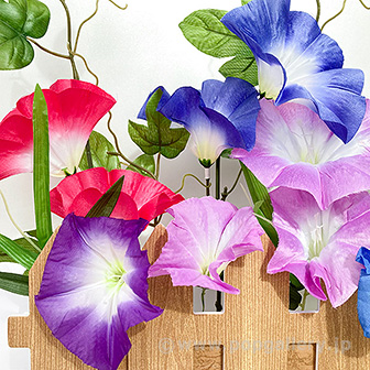 朝顔垣根アレンジ