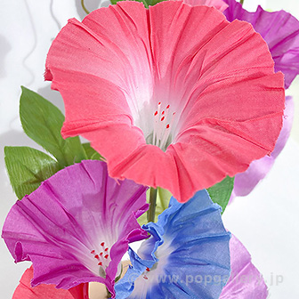 朝顔スダレペアスタンド