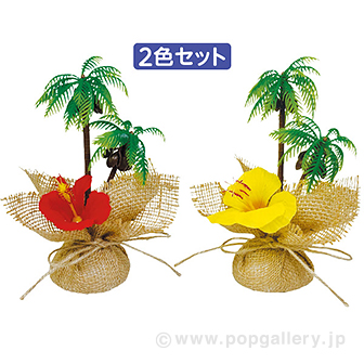 ハイビスカスヤシペアポット