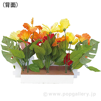 ハイビスカス垣根スタンド