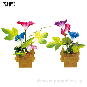 朝顔垣根ペアスタンド