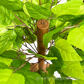 若葉立木スタンド （高さ：90cm）