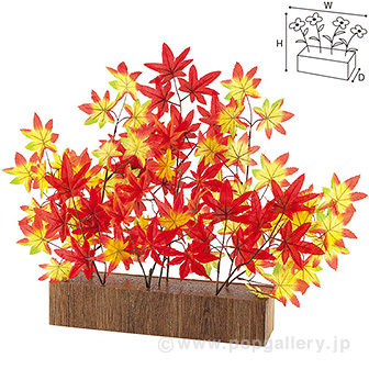 もみじプランター