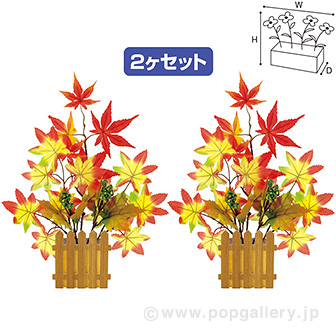 もみじ垣根ポットセット