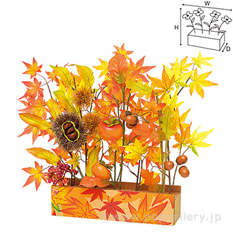 もみじ味覚プランター