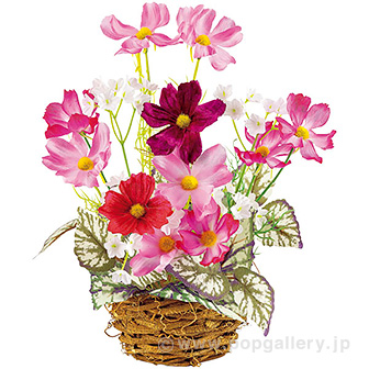 コスモスアレンジバスケット