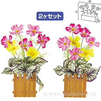 コスモス垣根ポットセット