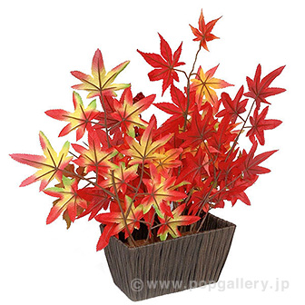 もみじアレンジスタンド