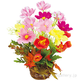 コスモス盛カゴ