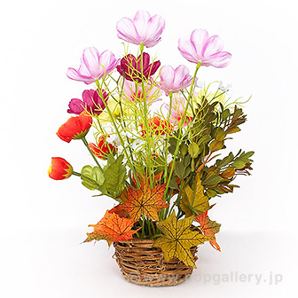 コスモス盛カゴ