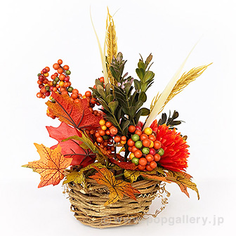 ハロウィン盛カゴ