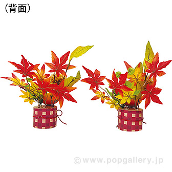 みのりの秋ポットセット