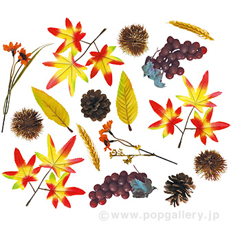 秋の味覚セット