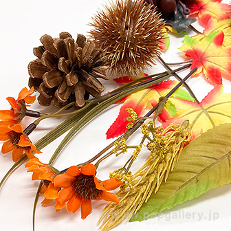 秋の味覚セット