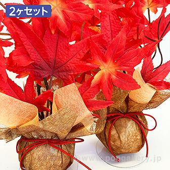 もみじボールラッピングセット