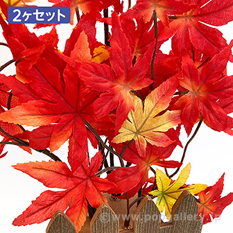 もみじ垣根セット