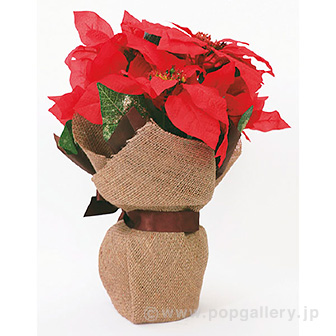ポインセチアジュートポット