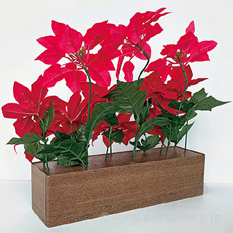 ポインセチアプランター