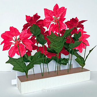 ポインセチア垣根アレンジ