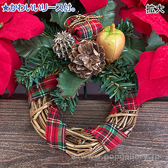 ポインセチアアレンジプランター