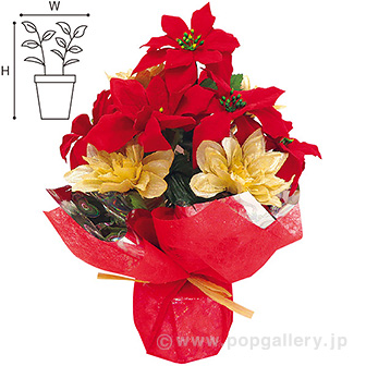 ポインセチアアレンジラッピング