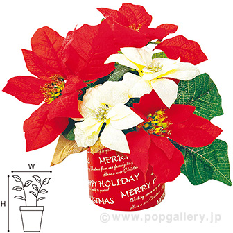 ミックスポインセチアスタンド