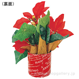 ミックスポインセチアスタンド