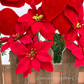 ポインセチア垣根スタンド