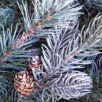 150cmウッドバケットスノーツリー