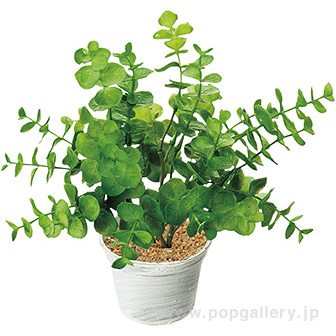 ユーカリポット