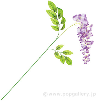 大房藤スプレー（小）ラベンダー