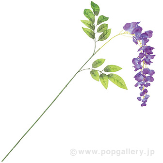 大房藤スプレー（小）パープル