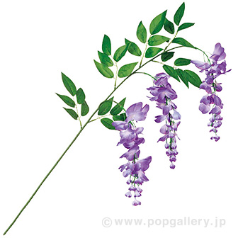 藤スプレー（3輪）パープル PU(パープル)