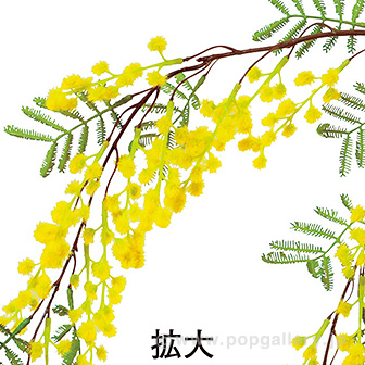 ミモザスプレー