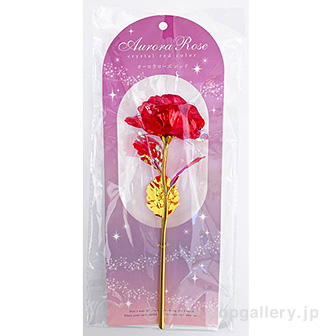 オーロラローズ（レッド） R(レッド)