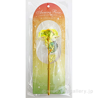 オーロラローズ（イエロー） Y(イエロー)