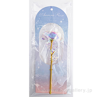 オーロラローズ ノーマル