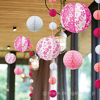 桜祭りぼんぼり提灯 ２０個 ぼんぼり提灯[ちょうちん] 桜 24cm まとめ買い20ヶセット