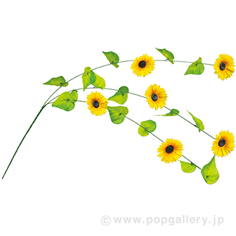 ひまわり3本シダレ