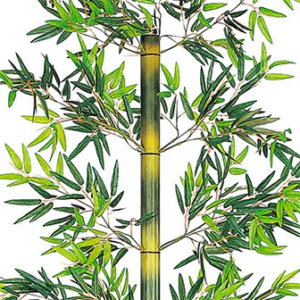 243cmバンブー立木セット