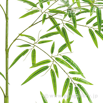 180cmバンブーツリー