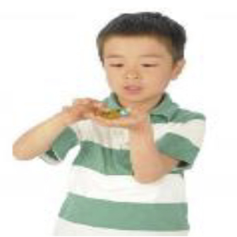 つかめる水キット60人用