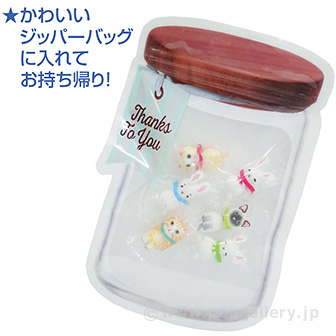 アニマルチョコすくいどり（50名様用）