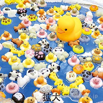 ぷかぷか動物ランドすくいどり大会(ラストワン付)100名様用 ぷかぷか動物ランドすくいどり大会(ラストワン付)100名様用