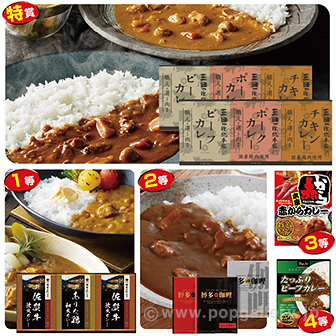 おいしい贅沢 レトルトカレー抽選会（100名様用） B(100名様用)